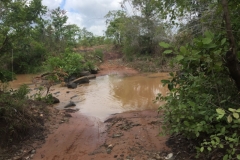 8594  27-5-19 puddle