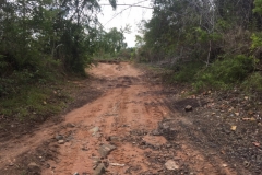 8595  27-5-19 mud and stones