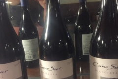 8619  29-5-19 cycle wine