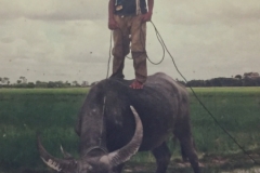 8633  1-6-19 buffalo rider