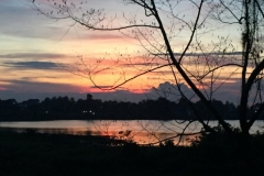 8659  3-6-19 sunset