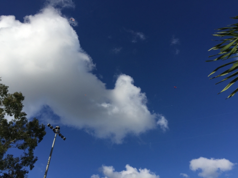 8719  9-6-19 sky
