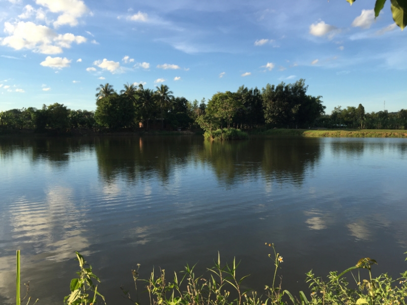8740  10-6-19 river