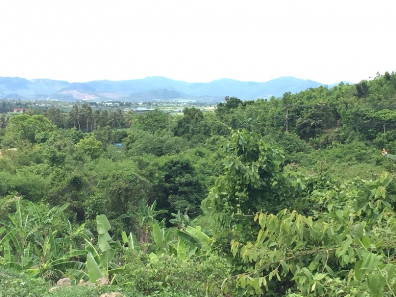 8751  11-6-19 view