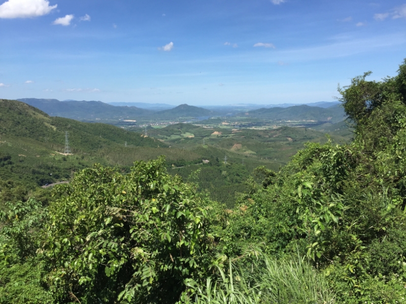 8766  11-6-19 view