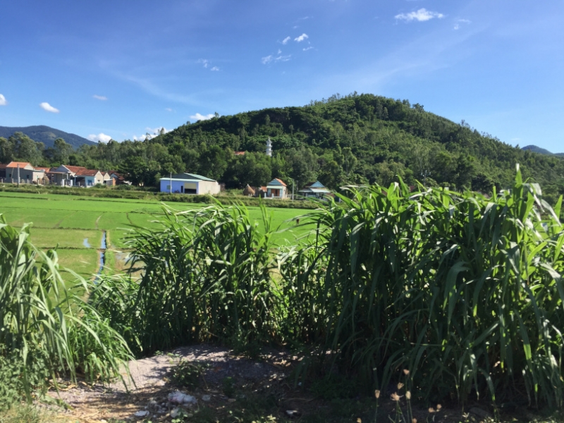 8778  11-6-19 view