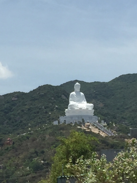 8855  14-6-19 buddha