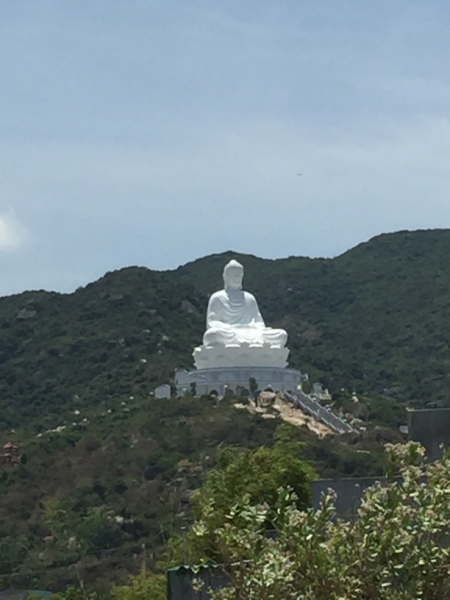 8856  14-6-19 buddha