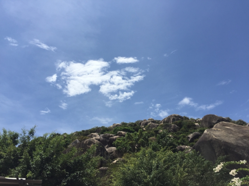 8861 14-6-19 view
