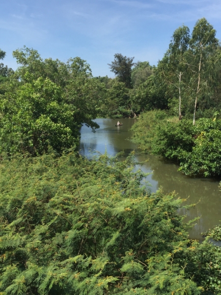 8874 14-6-19 river