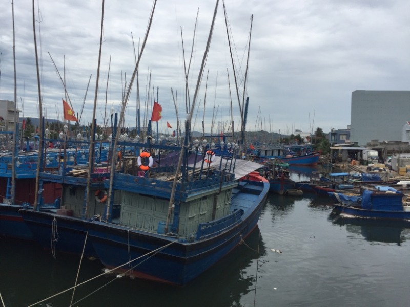 8911 16-6-19 boats