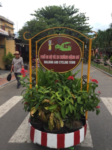 8925 17-6-19 flowers