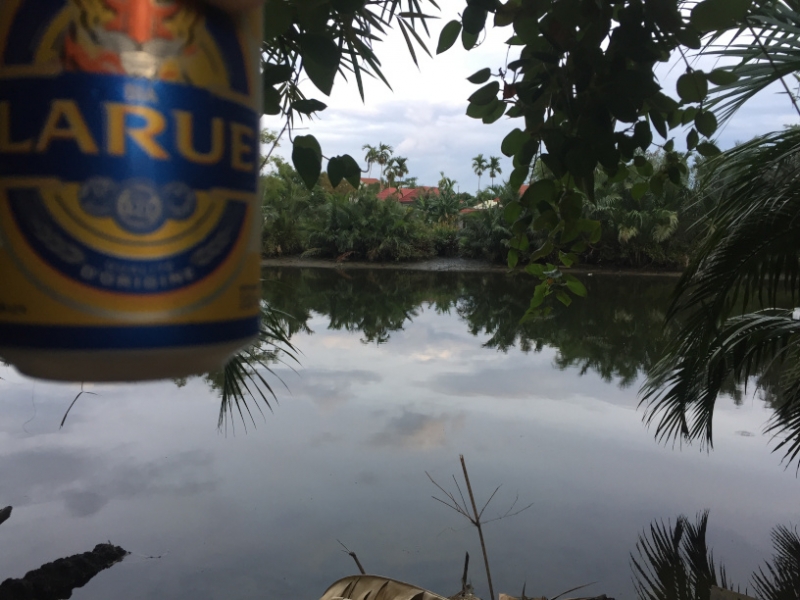 8934 17-6-19 beer