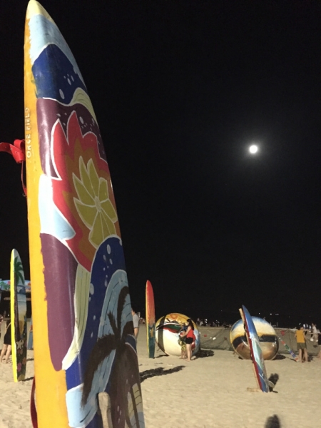 8970 18-6-19 surfboards
