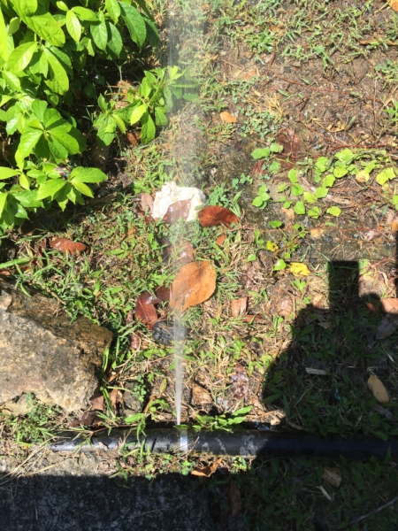 8987 19-6-19 sprung a leak
