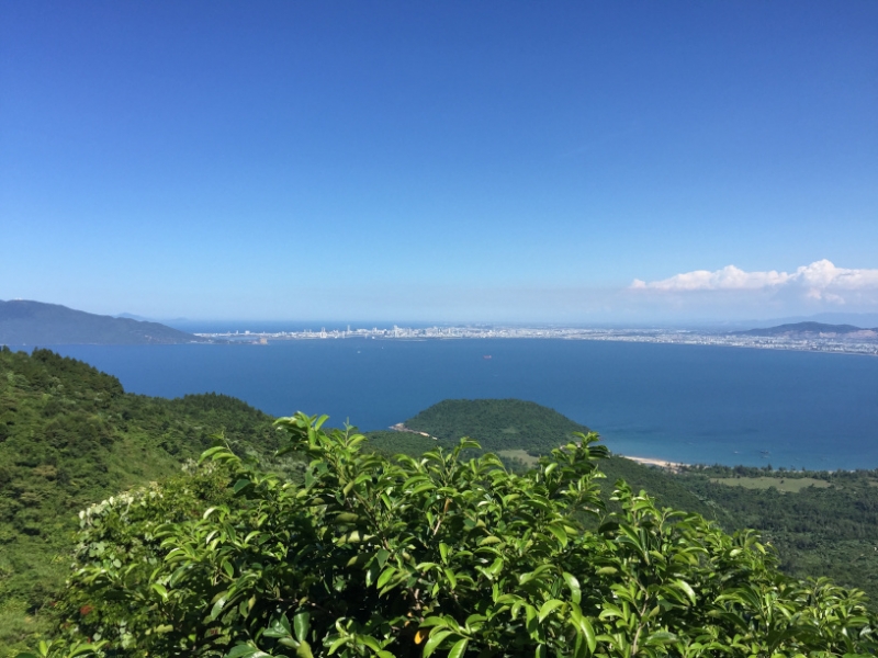 8989 19-6-19 view