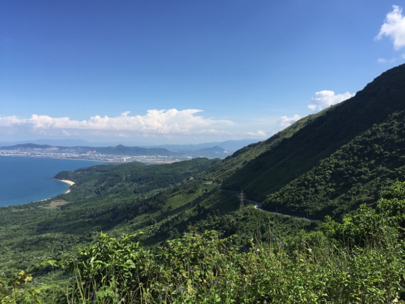 8998 19-6-19 view