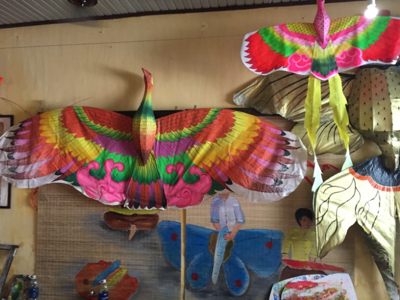 9085 21-6-19 kites