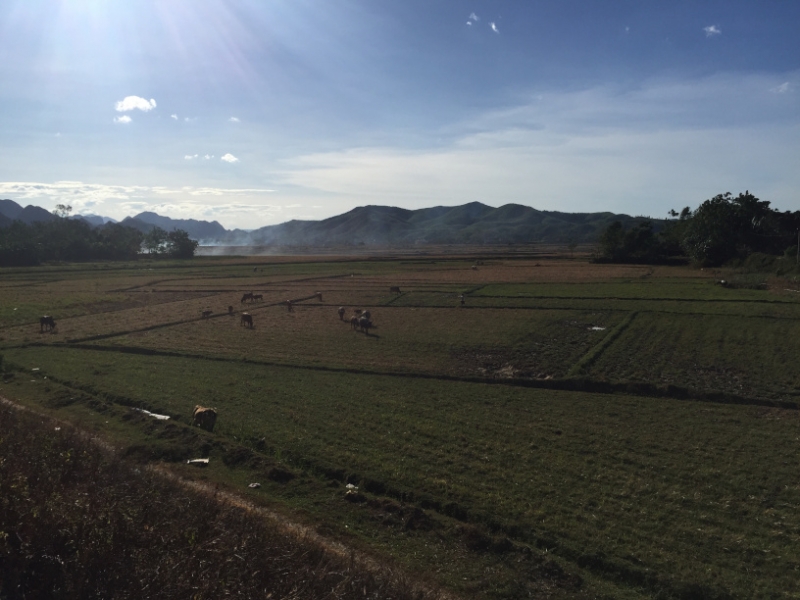 9203 29-6-19 view