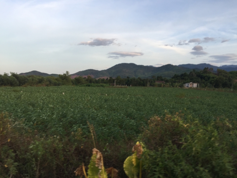 9218 30-6-19 view