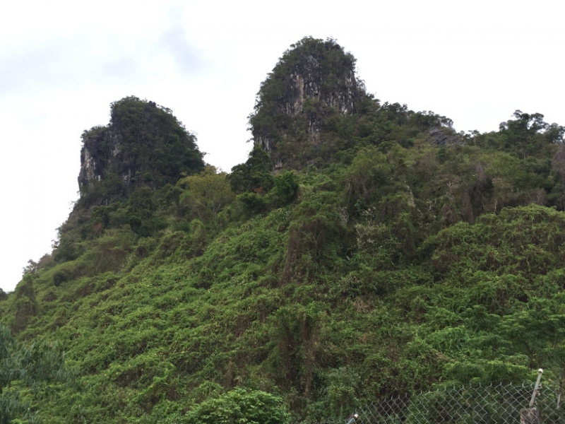 9224 1-7-19 cliffs