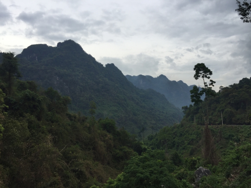 9231 1-7-19 misty mountains