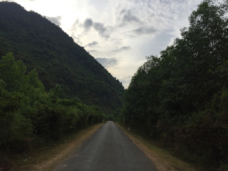 9235 1-7-19 road