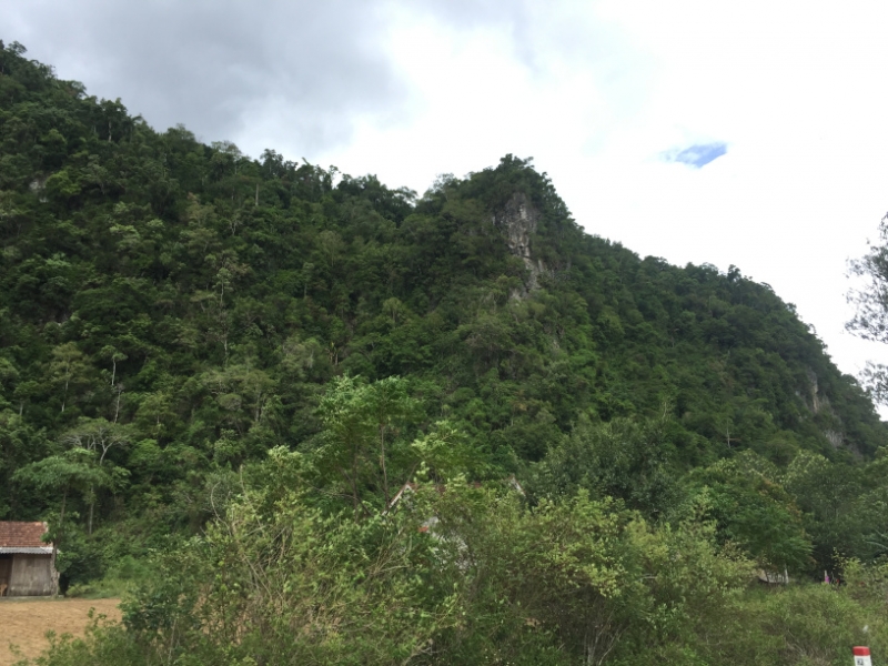 9262 4-7-19 view
