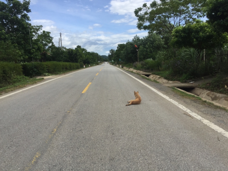 9263 4-7-19 road