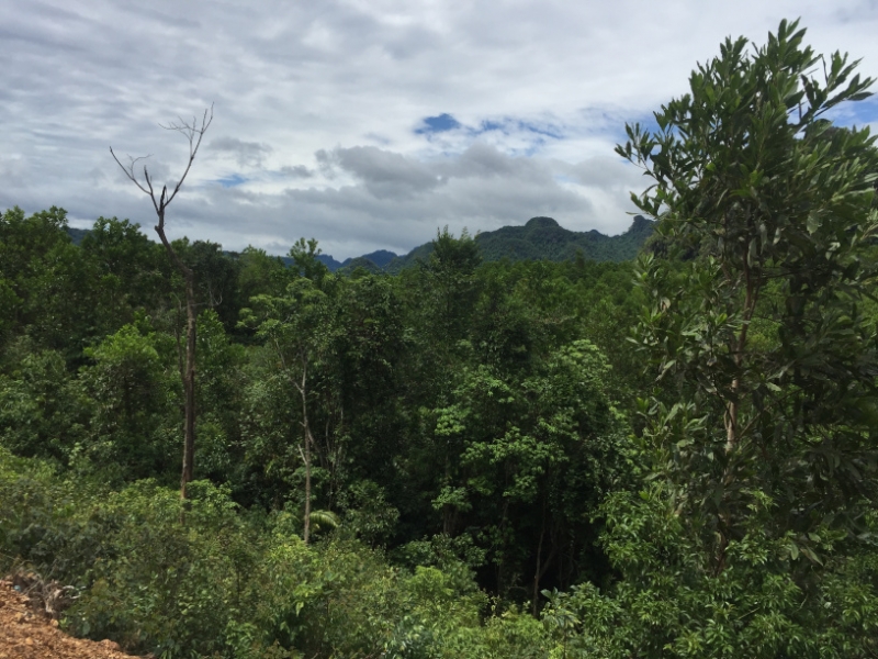 9268 4-7-19 view