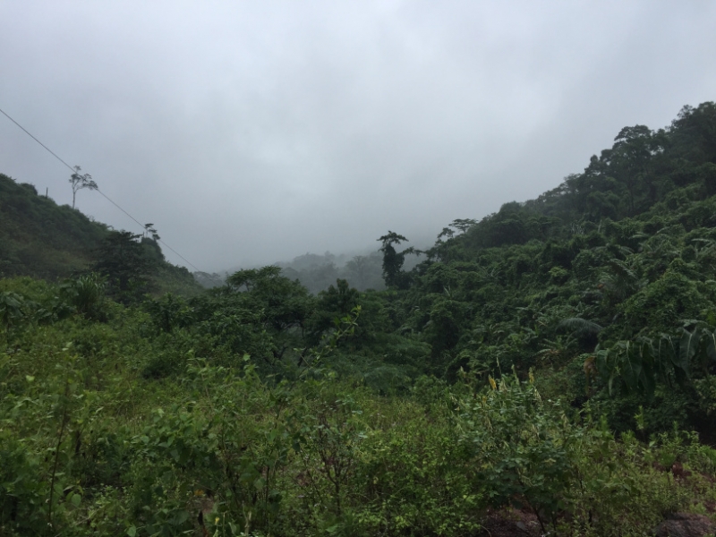 9295 4-7-19 view