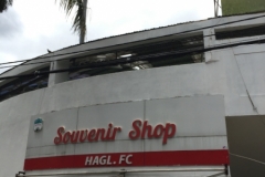 8706  9-6-19 Hagl f c shop