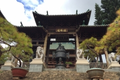 8713  9-6-19 temple
