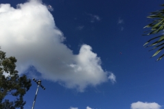 8719  9-6-19 sky