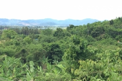 8751  11-6-19 view