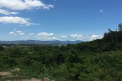 8752  11-6-19 view