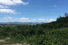 8753  11-6-19 view