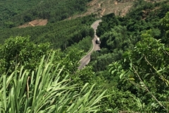 8765  11-6-19 view