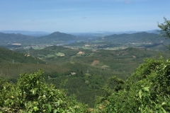 8767  11-6-19 view