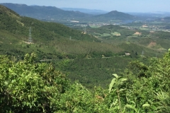 8768  11-6-19 view