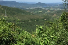 8769  11-6-19 view