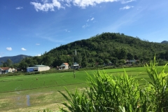 8777  11-6-19 view