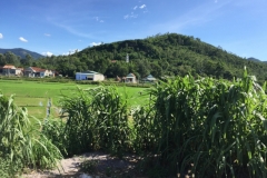 8778  11-6-19 view