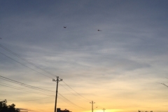 8783  11-6-19 sunset