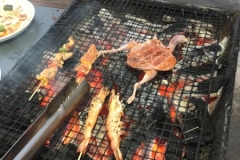 8786  11-6-19 Barbecue