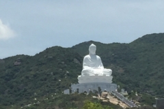8855  14-6-19 buddha