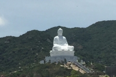 8856  14-6-19 buddha