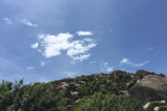 8861 14-6-19 view
