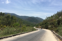 8864 14-6-19 view
