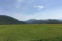 8869 14-6-19 view